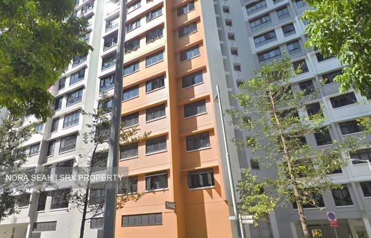 Blk 546C Segar Road (Bukit Panjang), HDB 5 Rooms #209331981